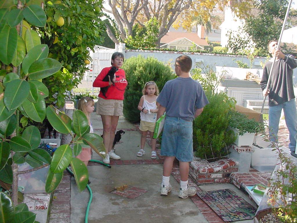 Getting Ready For Christmas 2000