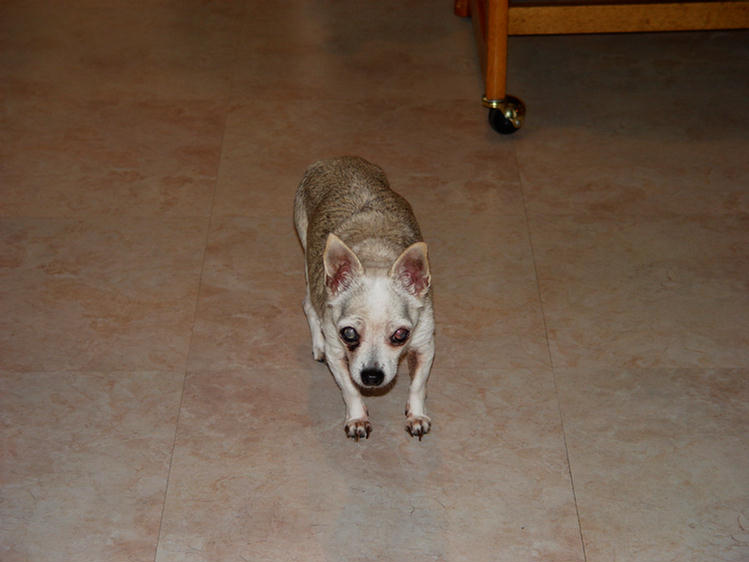 Christmas Day 2004