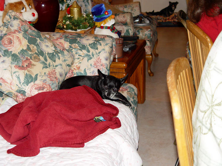 Christmas Day 2004