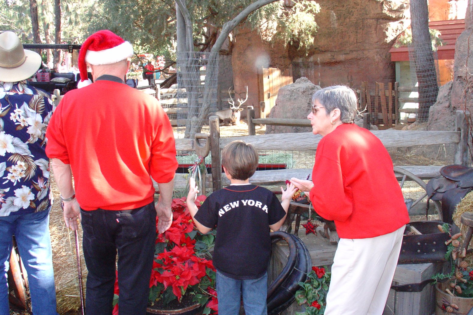 Christmas Eve At Disneyland 2005