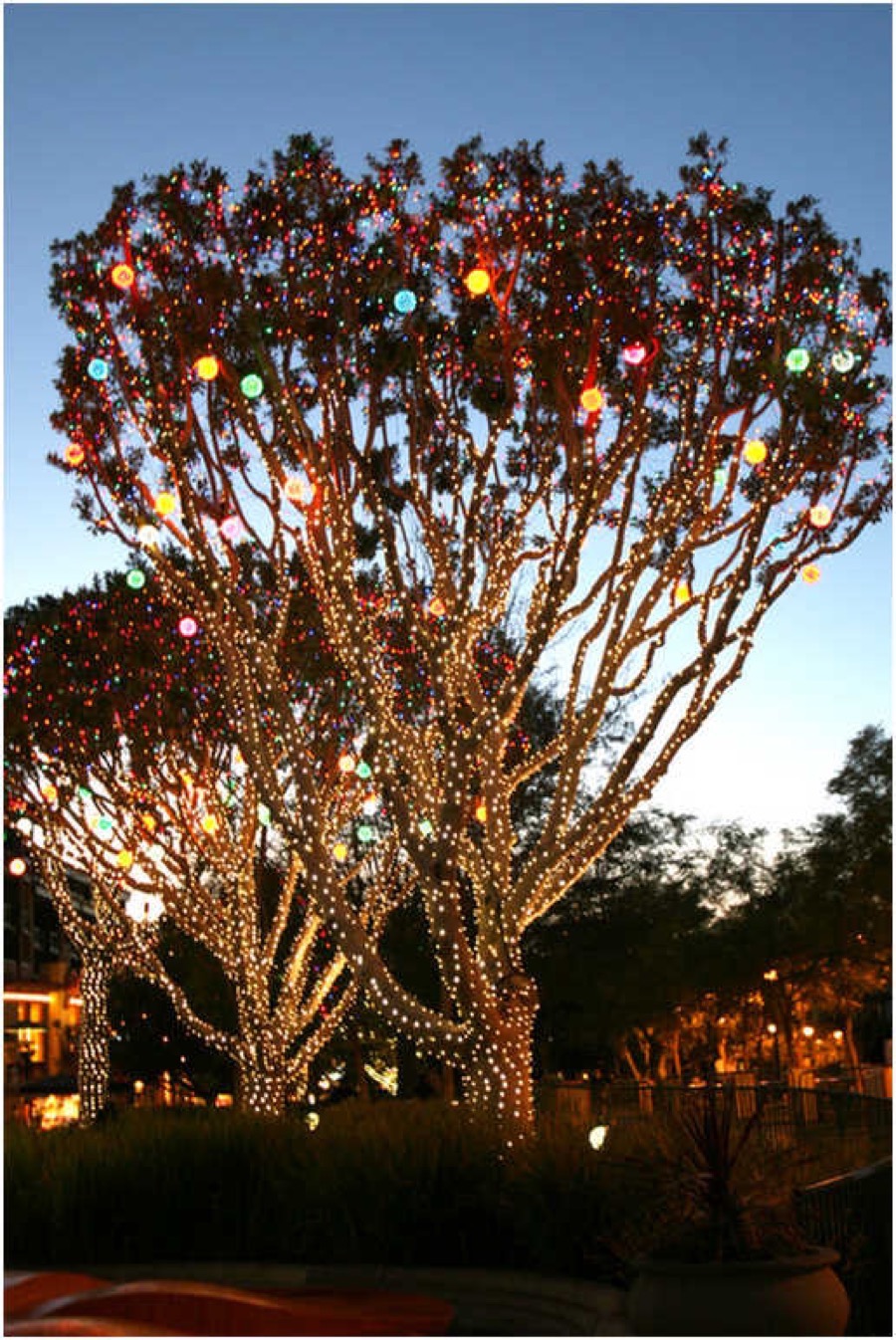 2006 Disneyland Christmas Parade