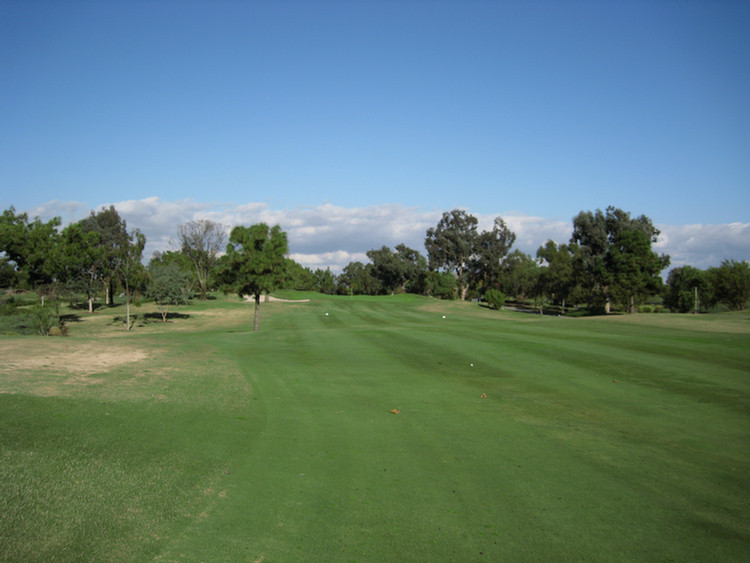 Christmas Golf