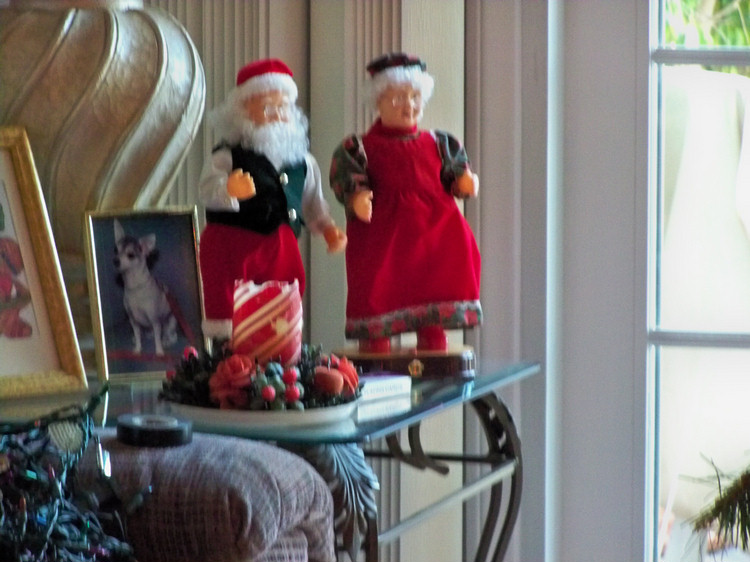 Decorationg for Christmaas 2009
