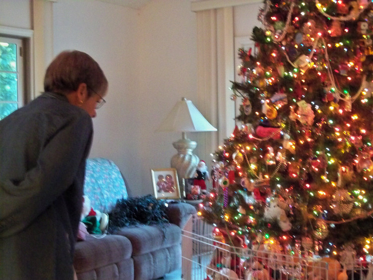 Decorationg for Christmaas 2009