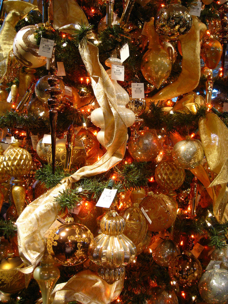 Roger's Gardens 2009