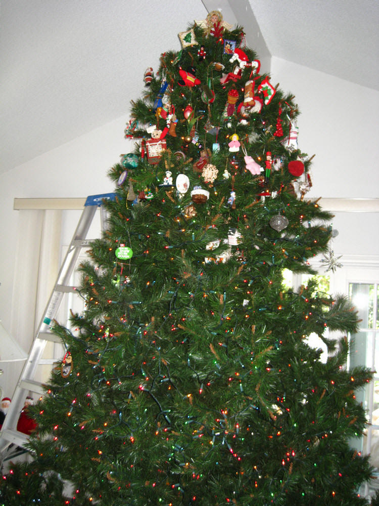 Christmas 2009 Decorating