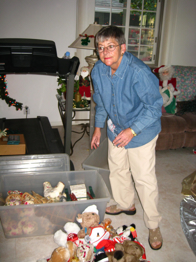 Christmas 2009 Decorating