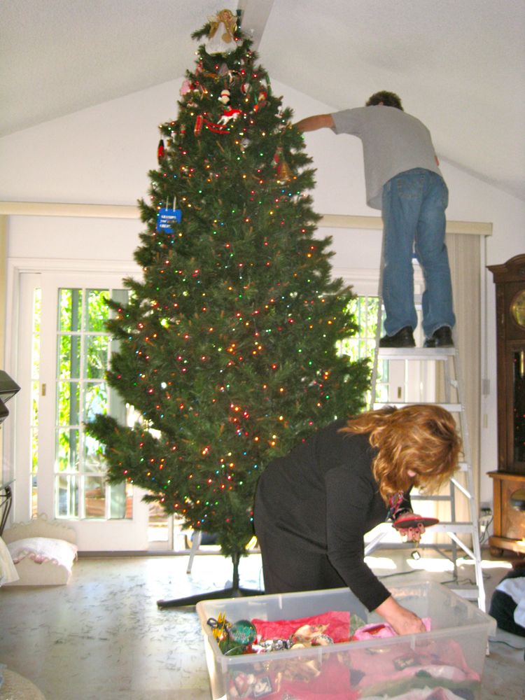 Decorating for Christmas  November 2010