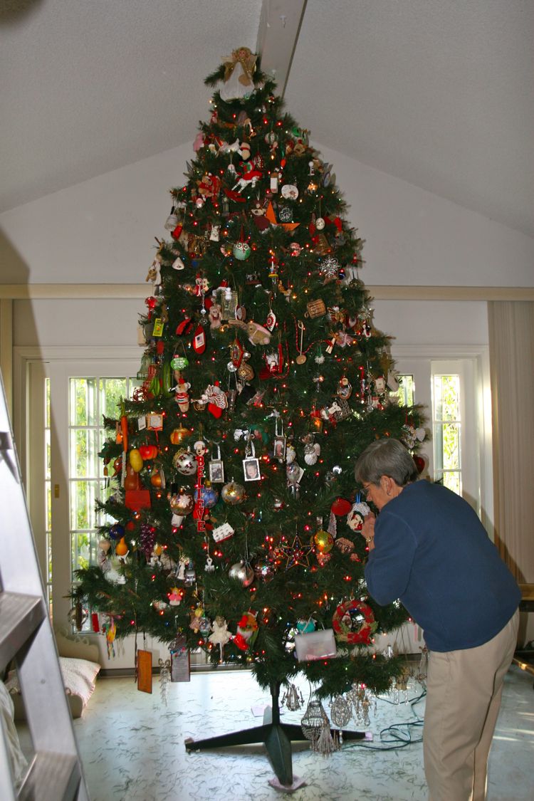 Decorating for Christmas 2010 Day 2