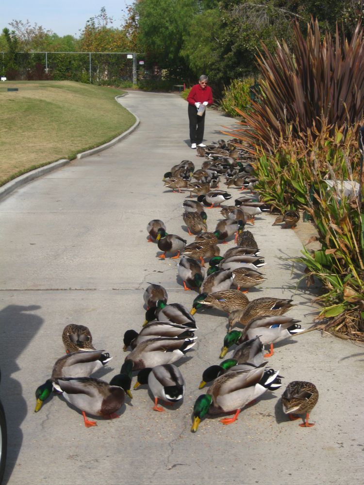 Golf on december 3rd