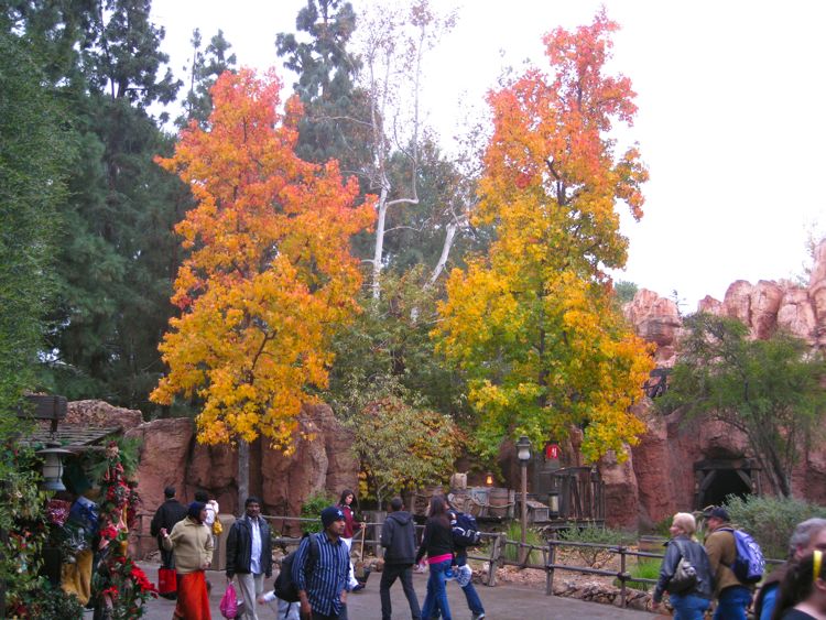 Celebrating Robin's birthday at Disneyland December 2010