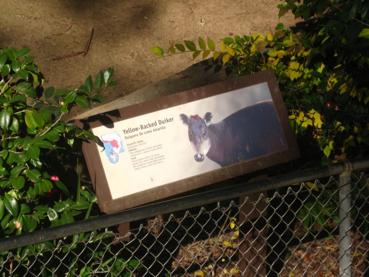 Visit to the LA Zoo Christmas 2010