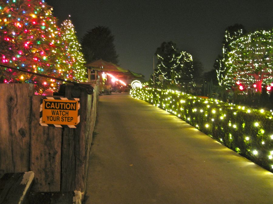 First visit in 2011 to Rogers Gardens