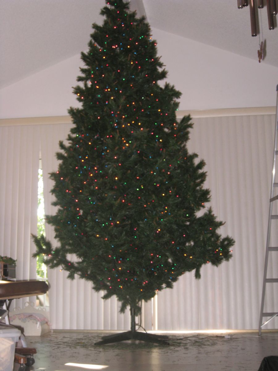 Decorating the tree November 2011