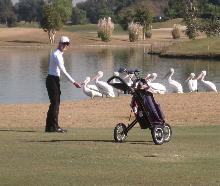 Dancing at Santa Ana Elks and playing golf with the pelicans