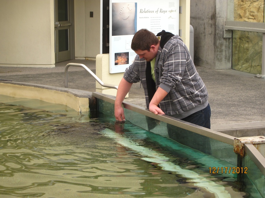 Aquarium of the Pacific December 2012