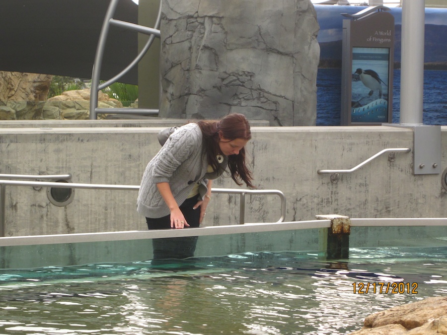 Aquarium of the Pacific December 2012