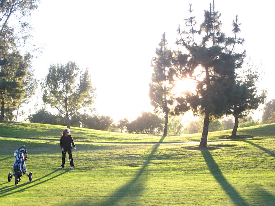 Christmas golf!