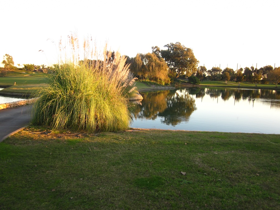 Christmas golf!