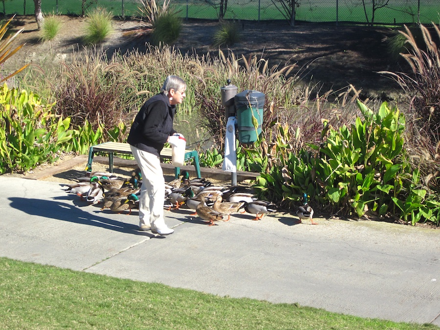 Christmas golf, danciing, and the Irish Tenors