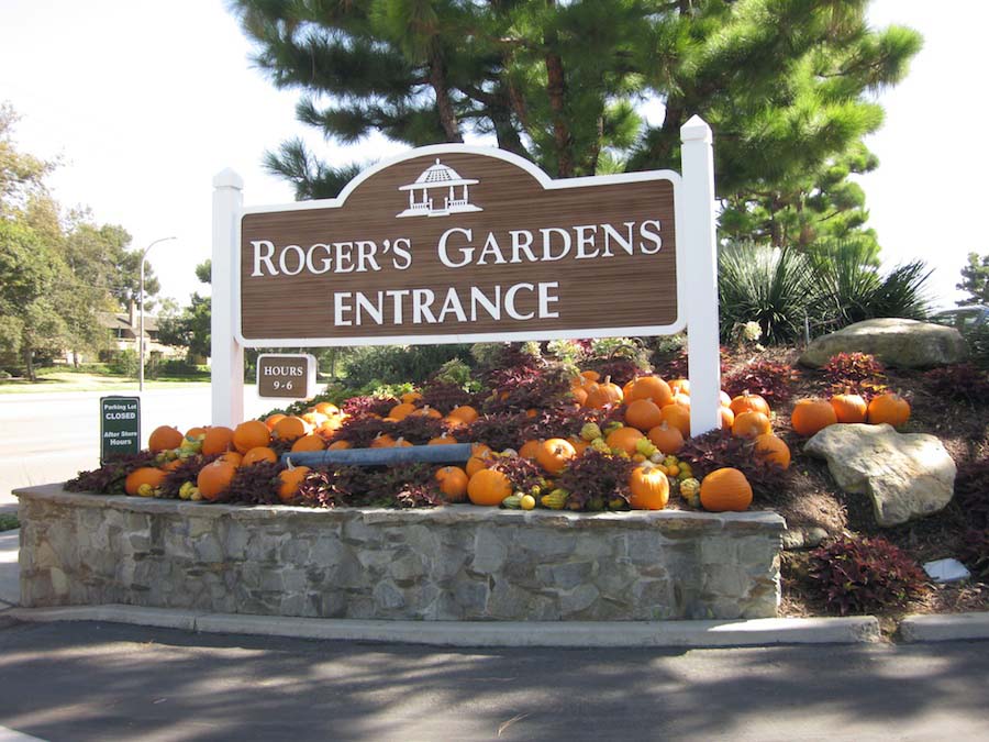Early visit to Rogers Gardens Christmas 2013