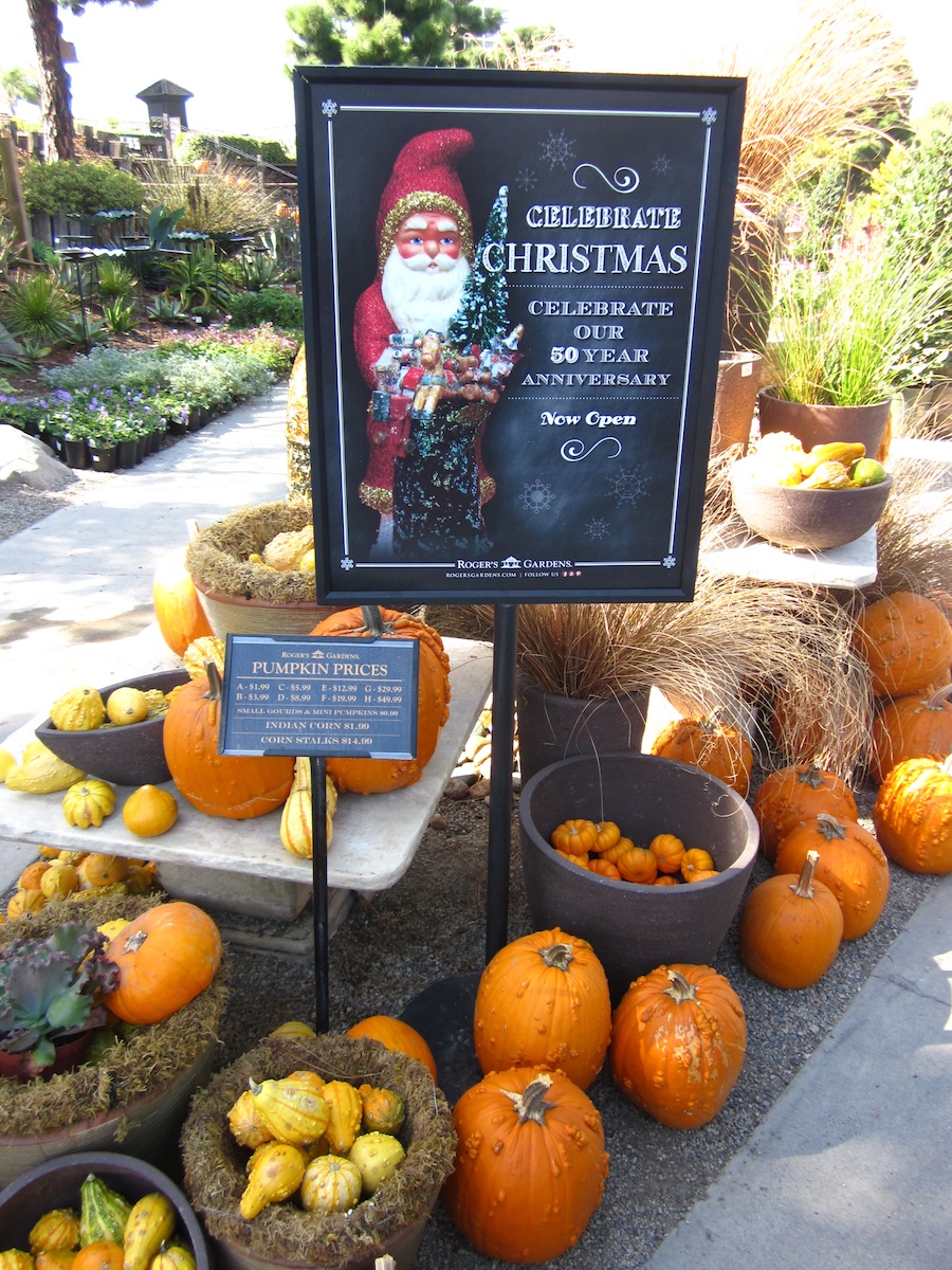 Early visit to Rogers Gardens Christmas 2013