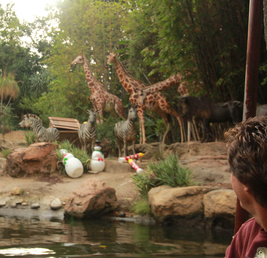 Celebrating Robin's birthday at Disneyland 12/5/2014