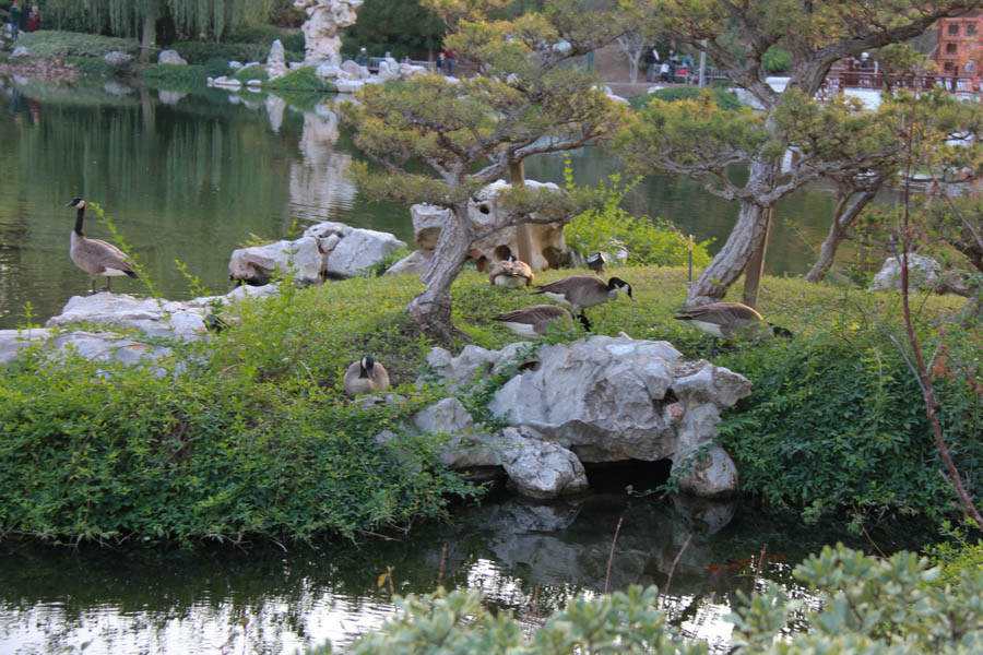 Brian, Jan, Sue, and Paul go to the Huntington Library for high tea