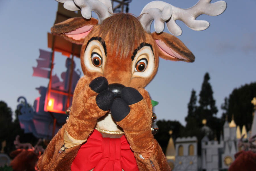 Disneyland Christmas Eve 2016