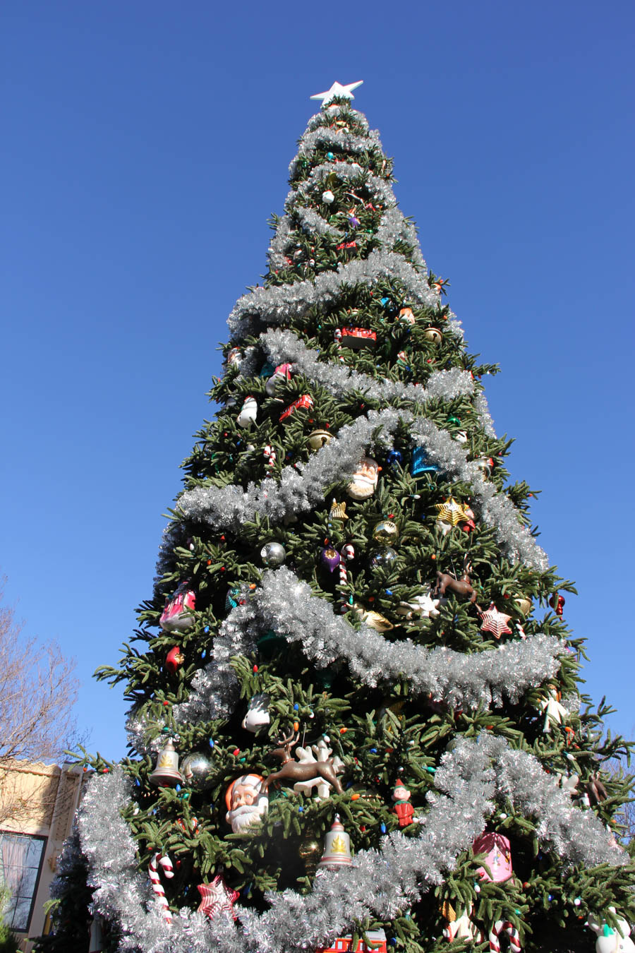 Disneyland Christmas Eve 2016