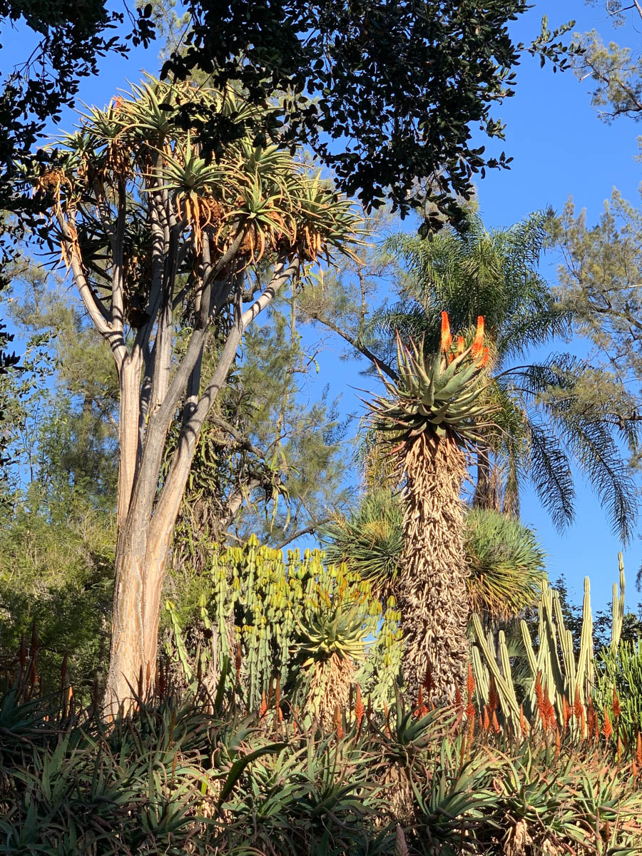 Huntington Library And Gardens 12/13/2018 With Brain And Jan Finch