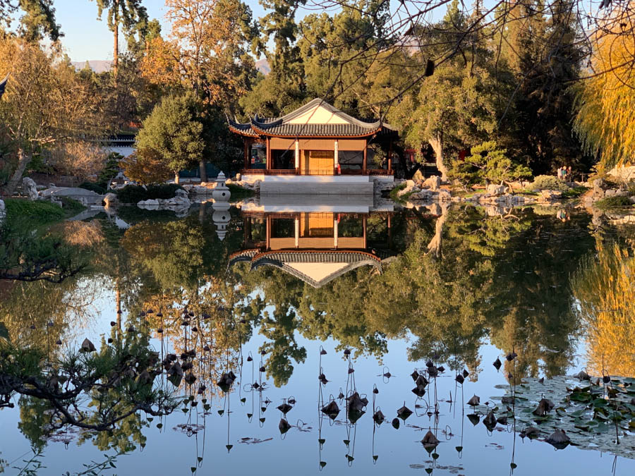 Huntington Library And Gardens 12/13/2018 With Brain And Jan Finch