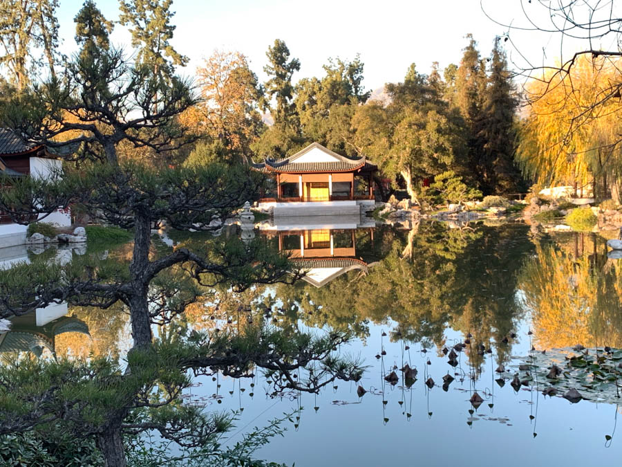 Huntington Library And Gardens 12/13/2018 With Brain And Jan Finch