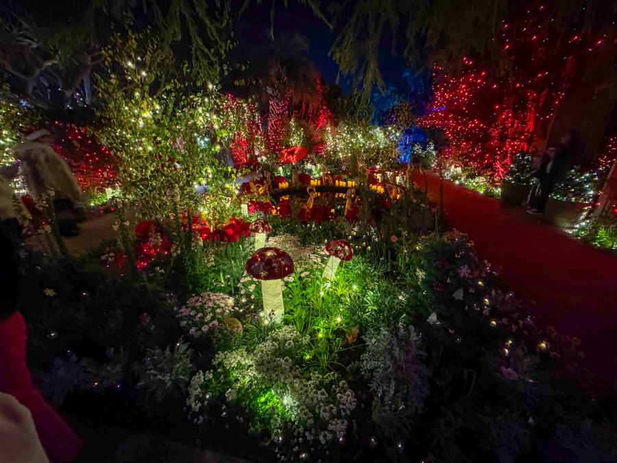 2024-12-06 Rothchild's & Night Of 1000 Lights