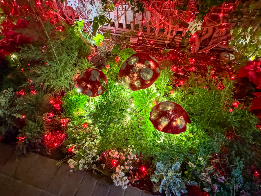 2024-12-06 Rothchild's & Night Of 1000 Lights