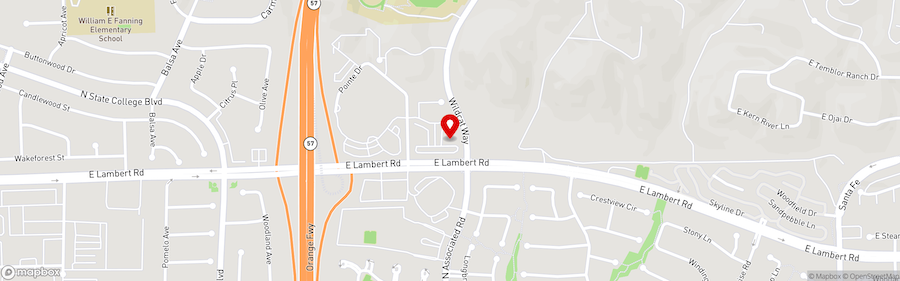 2025-11-30 alley Cats Christmas Show