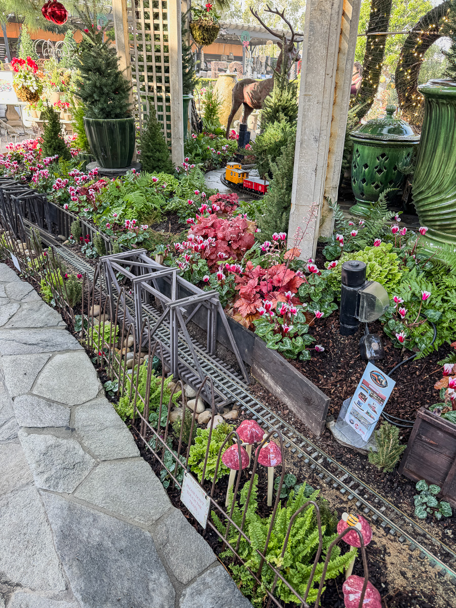 2025-12-19 Christmas Trip To Roger's