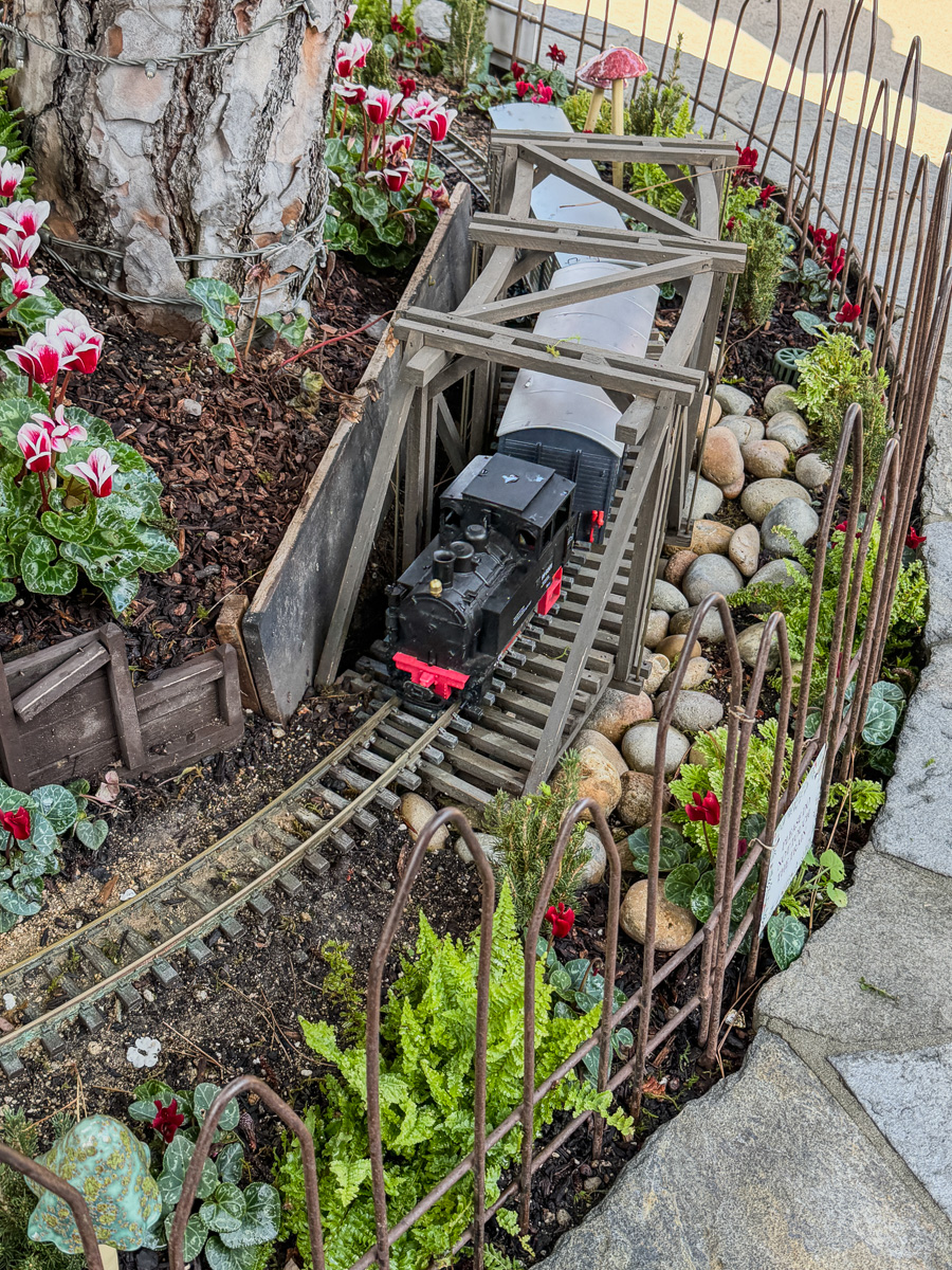 2025-12-19 Christmas Trip To Roger's