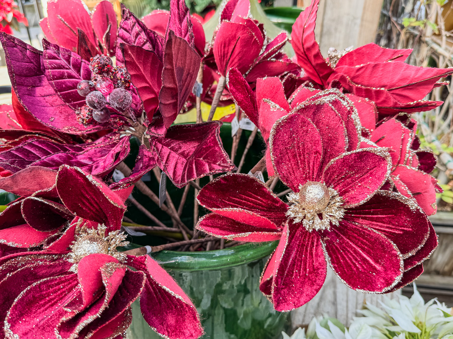 2025-12-19 Christmas Trip To Roger's