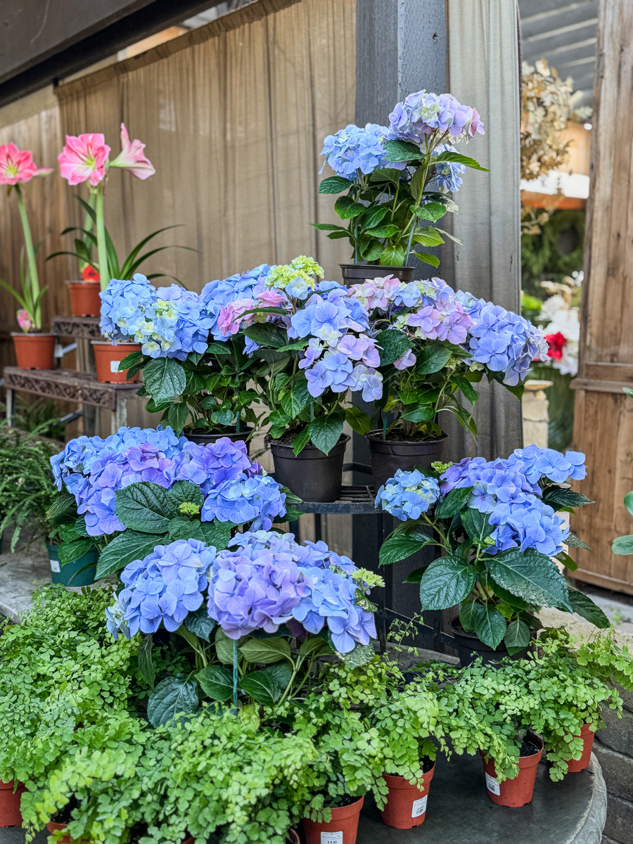 2025-12-19 Christmas Trip To Roger's