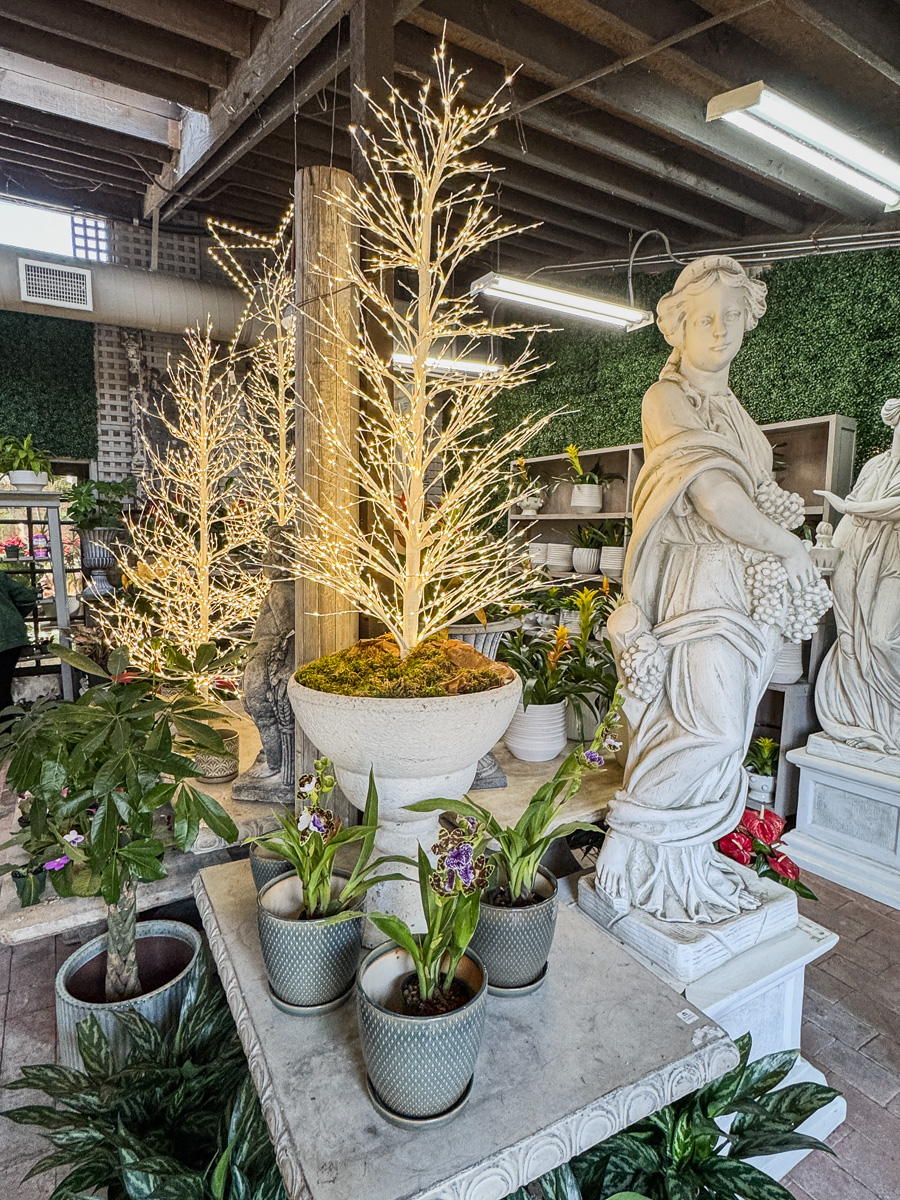 2025-12-19 Christmas Trip To Roger's