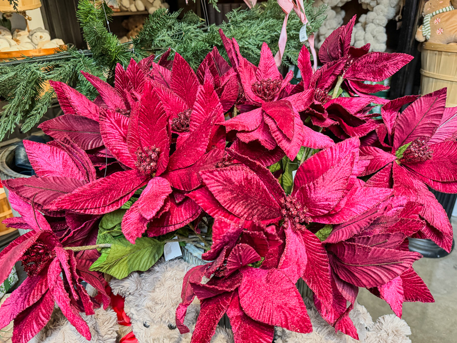 2025-12-19 Christmas Trip To Roger's