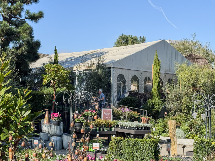 2025-12-19 Christmas Trip To Roger's