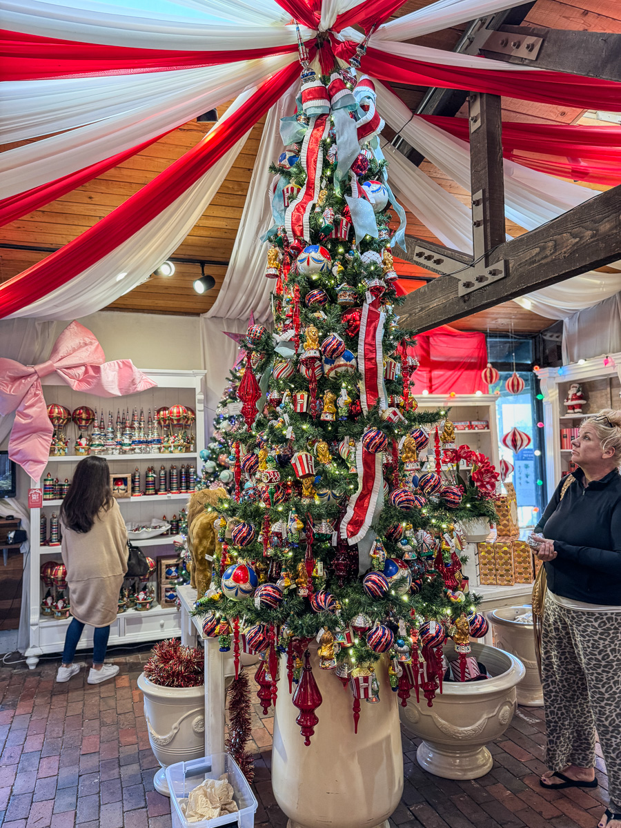 2025-12-19 Christmas Trip To Roger's