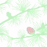 Christmas Backgrounds