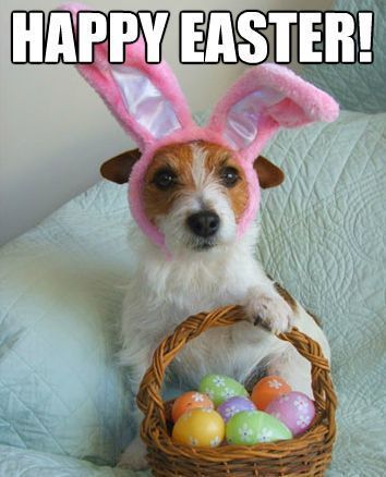 Easter Egg Coloring At Home 2024