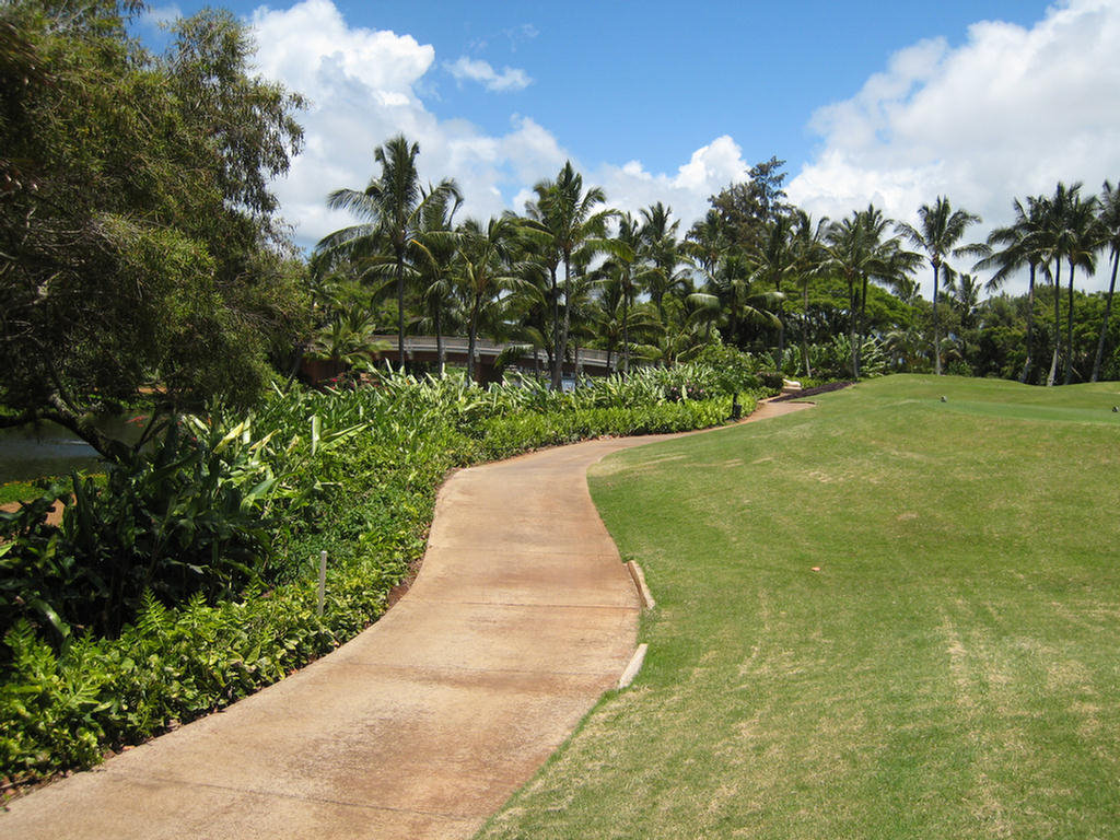 Kauai Hawaii Golf At The Plantation