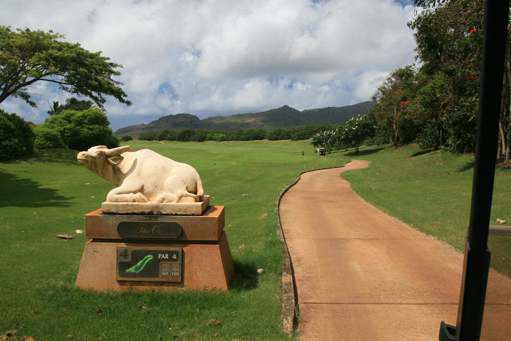 Kauai Hawaii Golf At The Plantation