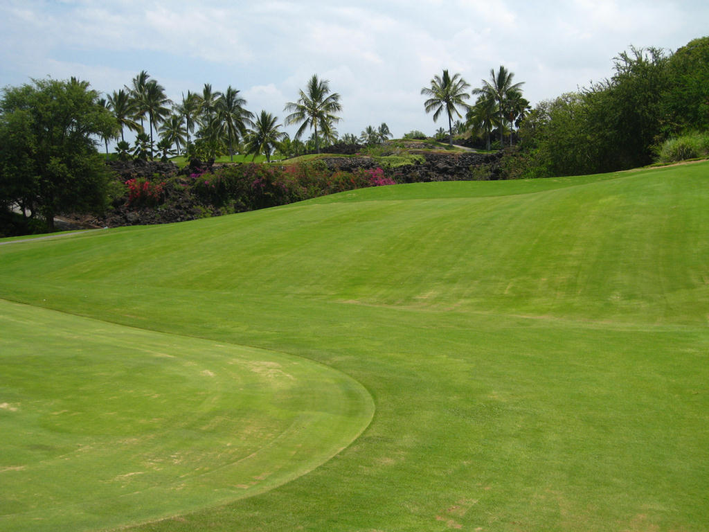 Kona Golf Adventure