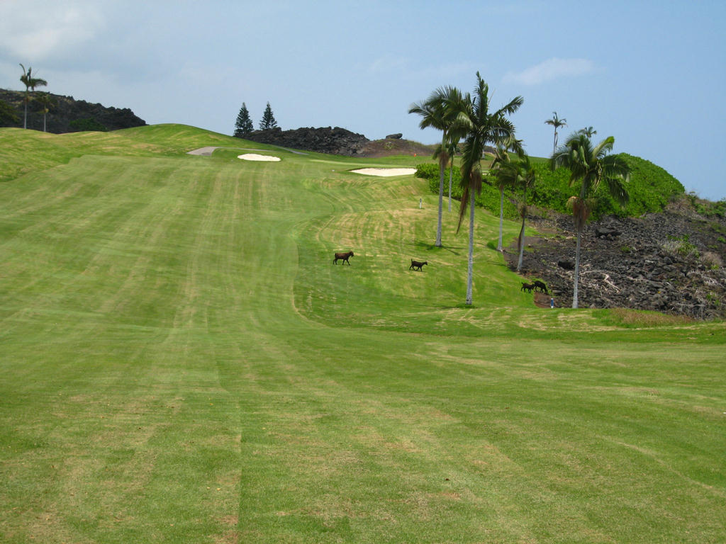 Kona Golf Adventure